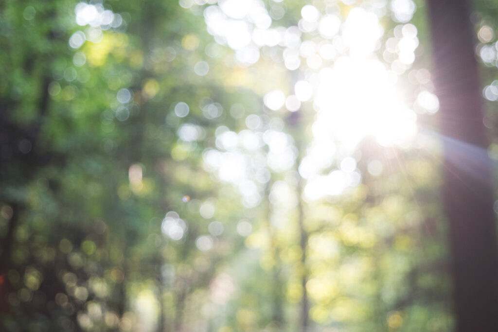 Devenir qui nous sommes - Huttes de sudation - Séances individuelles - Belgique